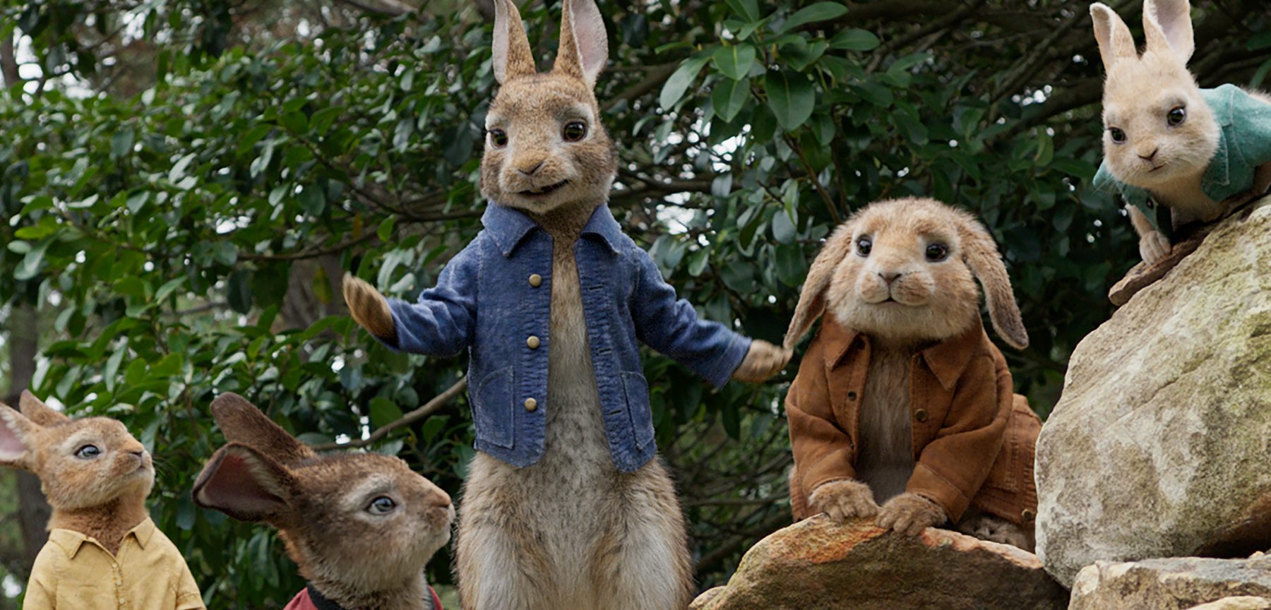 Story Time with Peter Rabbit